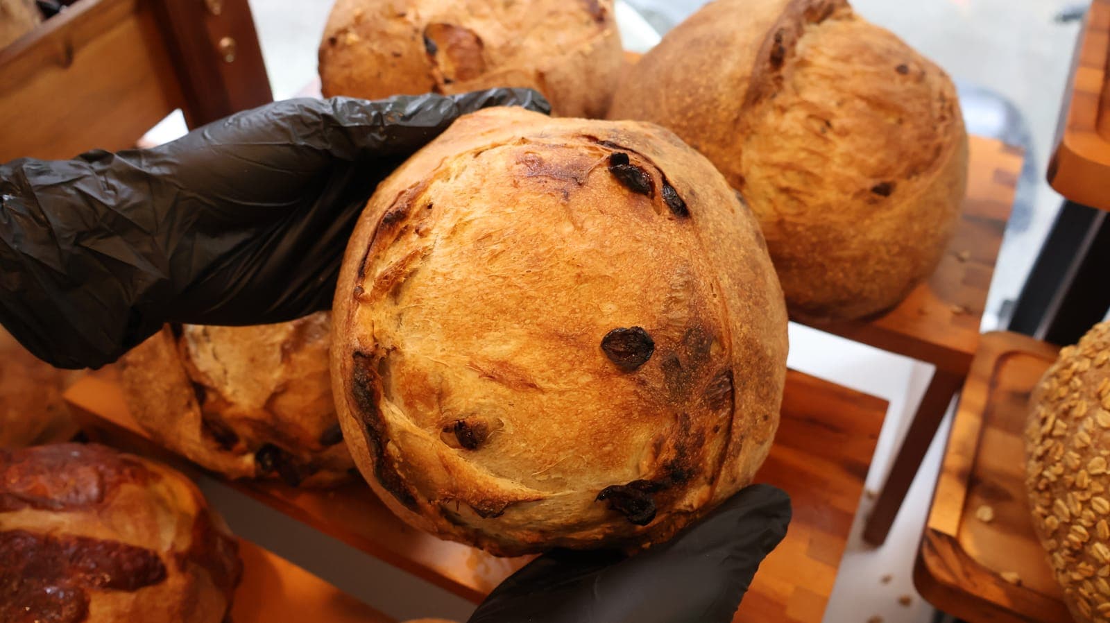 Sourdough Creamcheese Cranberry của The Ninh Cake