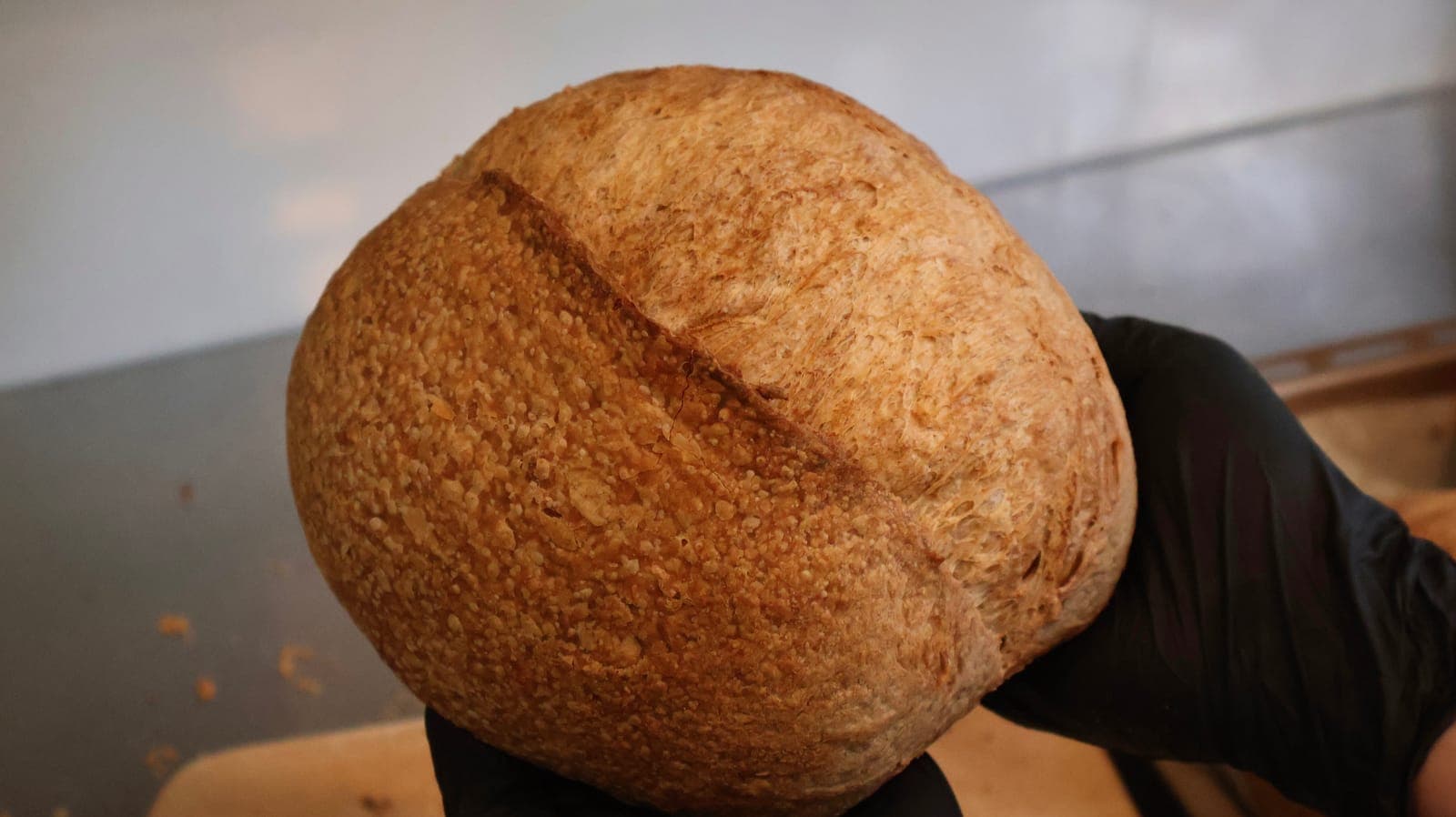 Plain Sourdough